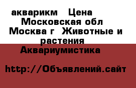 акварикм › Цена ­ 500 - Московская обл., Москва г. Животные и растения » Аквариумистика   